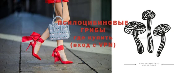 стаф Алексеевка