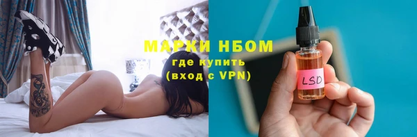 дмт Алзамай