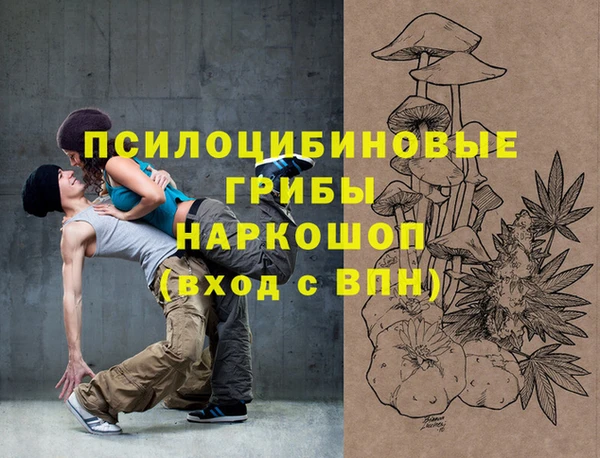 стаф Алексеевка