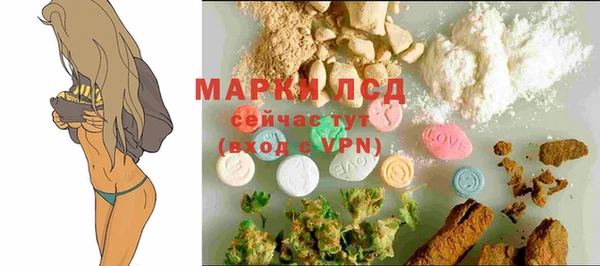 стаф Алексеевка