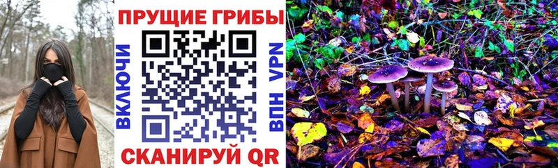 Галлюциногенные грибы Magic Shrooms  где можно купить наркотик  Себеж 